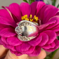 Vintage DAYBREAK/ELEGANT LADY Spoon Ring